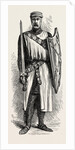 A Knight Templar by Anonymous