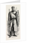 A Knight Templar by Anonymous
