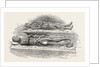 Tombs of Knights Templars London by Anonymous
