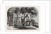 The Temple Fountain London by Anonymous