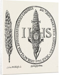 The Face in the Straw from Abbot's Anthologia 1613 by Anonymous