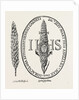 The Face in the Straw from Abbot's Anthologia 1613 by Anonymous