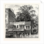 The Tree at the Corner of Wood Street 1870 London by Anonymous