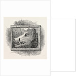 Old Sign of the Boar's Head London by Anonymous