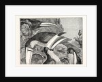 Toucans by Anonymous