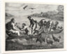 The Miraculous Draught of Fishes by Anonymous