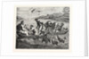 The Miraculous Draught of Fishes by Anonymous