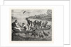 The Miraculous Draught of Fishes by Anonymous