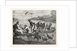 The Miraculous Draught of Fishes by Anonymous