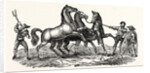 Horses Treading Out Corn by Anonymous