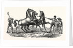 Horses Treading Out Corn by Anonymous