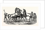 Horses Treading Out Corn by Anonymous