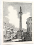 View of the Monument by Anonymous