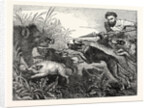 Wild Boar-Hunting by Anonymous