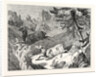 Hunting the Chamois by Anonymous