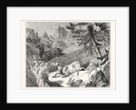 Hunting the Chamois by Anonymous