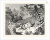 Hunting the Chamois by Anonymous