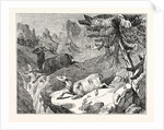 Hunting the Chamois by Anonymous