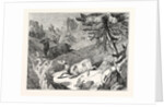 Hunting the Chamois by Anonymous