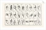 The Single-Handed Alphabet by Anonymous