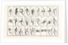 The Single-Handed Alphabet by Anonymous