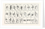 The Single-Handed Alphabet by Anonymous