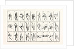 The Single-Handed Alphabet by Anonymous