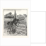 Hungry Democracy the Greatest Faster Record by Anonymous