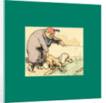 Schnaken and Schnurren, 1866, Mosquitoes and Purring by Anonymous