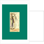 Schnaken and Schnurren, 1866, Mosquitoes and Purring by Anonymous