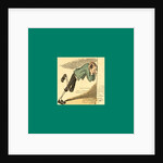 Schnaken and Schnurren, 1866, Mosquitoes and Purring by Anonymous