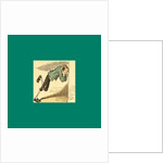 Schnaken and Schnurren, 1866, Mosquitoes and Purring by Anonymous