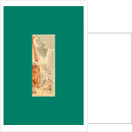 Schnaken and Schnurren, 1866, Mosquitoes and Purring by Anonymous