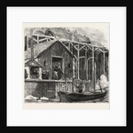 The Newfoundland Fisheries Question: British Fishing Room on the French Shore, Canada by Anonymous