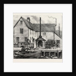 The Newfoundland Fisheries Question: Newfoundland Lobster Factory on the French Shore, Canada by Anonymous