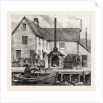 The Newfoundland Fisheries Question: Newfoundland Lobster Factory on the French Shore, Canada by Anonymous