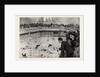 Water Polo Match at the Crown Baths, Kennington Oval, UK by Anonymous