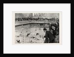 Water Polo Match at the Crown Baths, Kennington Oval, UK by Anonymous