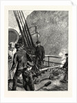 A Trip to Norway on Board the Orient Line Steamship Garonne: Startling the Natives on Bass Rock, Maritime by Anonymous