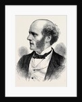 Thomas Hughes, Esq., M.P. by Anonymous