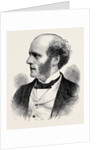 Thomas Hughes, Esq., M.P. by Anonymous