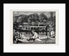 Steaming and Punting, a Sketch Near Cliveden Woods by Anonymous