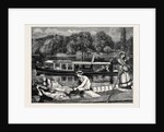 Steaming and Punting, a Sketch Near Cliveden Woods by Anonymous