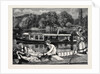 Steaming and Punting, a Sketch Near Cliveden Woods by Anonymous