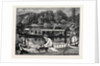 Steaming and Punting, a Sketch Near Cliveden Woods by Anonymous