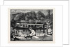 Steaming and Punting, a Sketch Near Cliveden Woods by Anonymous