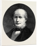 Horace Greeley by Anonymous