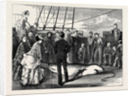 Capture of a Shark in the Tropics by Anonymous