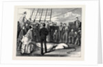 Capture of a Shark in the Tropics by Anonymous