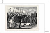 Capture of a Shark in the Tropics by Anonymous